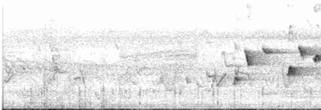 Віялохвістка сиза - ML613170204