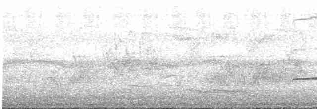 kukačka pískavá [skupina variolosus] - ML613170212