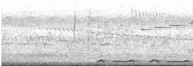 Géopélie à nuque rousse - ML613170232