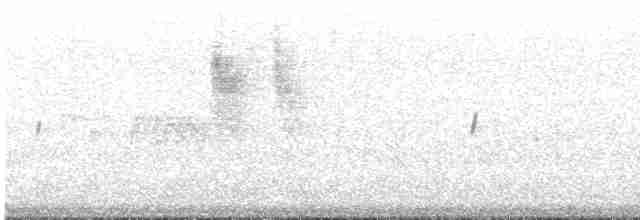 Ріроріро короткодзьобий - ML613170821