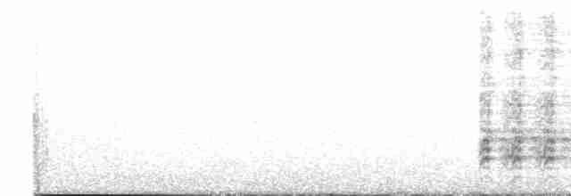 Пая великочуба - ML613171509
