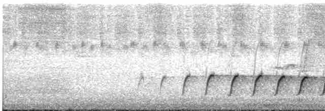 Королаз плямистобокий - ML613171697
