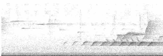 Королаз плямистобокий - ML613171711