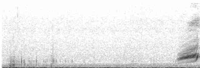 Gray Butcherbird - ML613171743