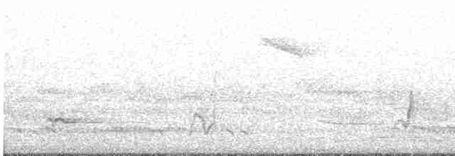Rufous Whistler - ML613172370