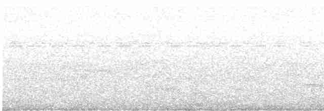 Lesser Ground-Cuckoo - ML613172862