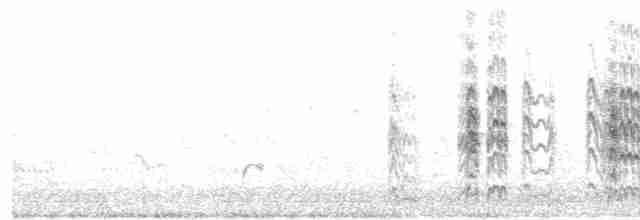 Little Tern - ML613176144