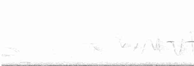 Батіжник чорночубий - ML613176198