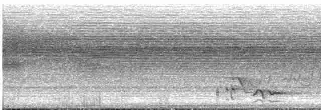 skrålemunkefugl - ML613176210
