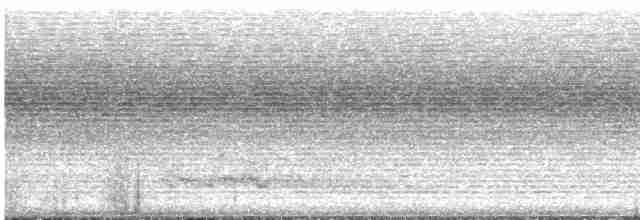 Glattstirn-Lederkopf - ML613176214