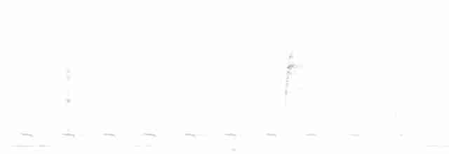 Тангарник товстодзьобий - ML613177393