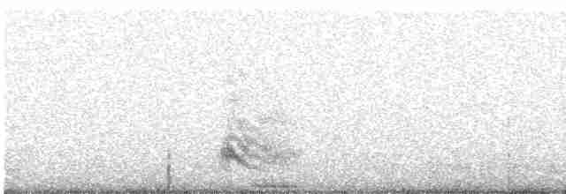 紅嘴山鴉 - ML613177732