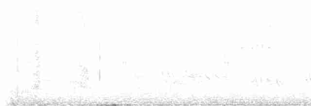 Troglodyte coraya - ML613179523
