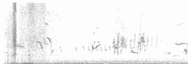 Western Meadowlark - ML613180866