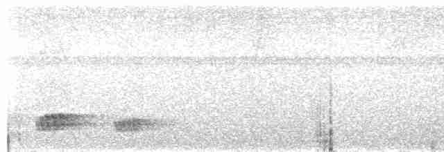 Скрытохвост татаупа - ML613182915