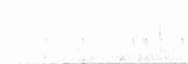 Шишкар ялиновий - ML613186015