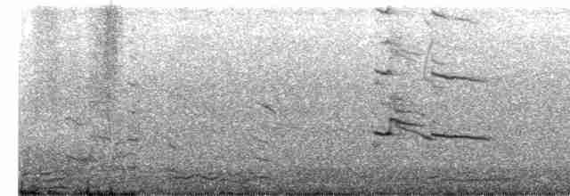 アメリカオオセグロカモメ - ML613186286