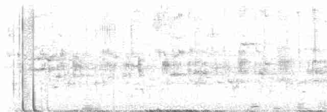Белоухий колибри - ML613188850