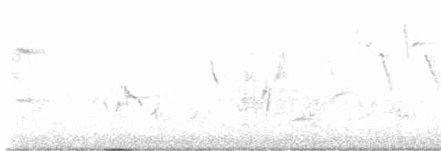 Oriole des vergers - ML613190387