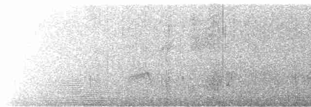 Batı Amerika Sinekkapanı (occidentalis/hellmayri) - ML613193387