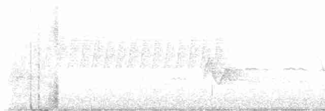 Paruline à gorge noire - ML613193865