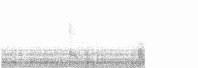 tanımsız karga (Corvus sp.) - ML613193888