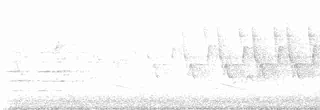 Дроздовый певун - ML613194301