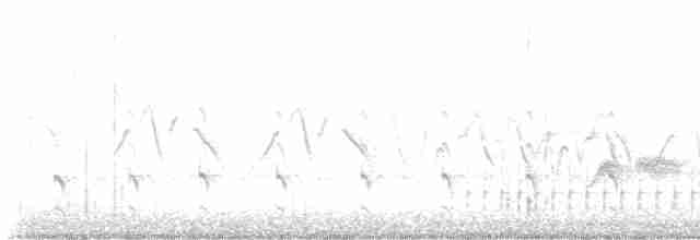 vlhovec červenokřídlý - ML613194971