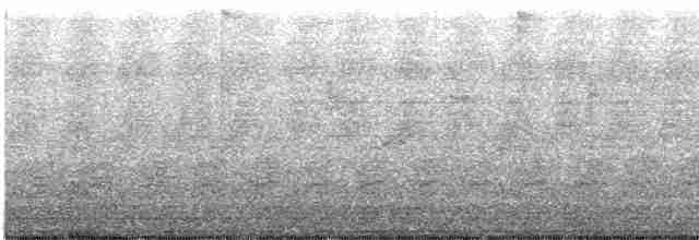 Kestane Kulaklı Arapbülbülü - ML613197257