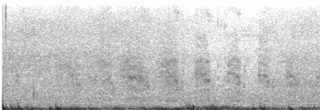 White Tern - ML613197570