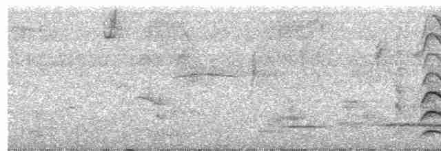 Красногрудый дятел-сокоед - ML613197651
