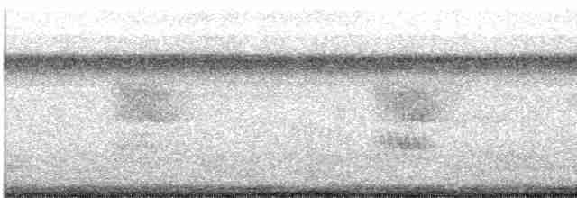 White-cheeked Starling - ML613200234