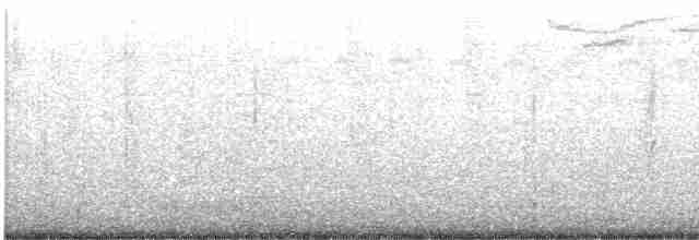 סנונית רפתות - ML613200883