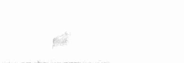 Міагра білогорла - ML613201337