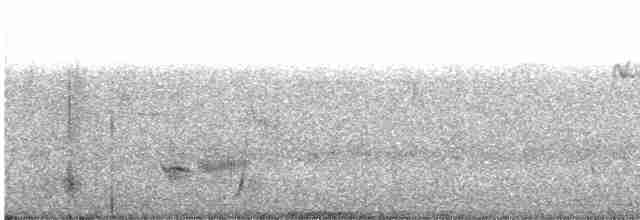 Pheasant Coucal - ML613201519