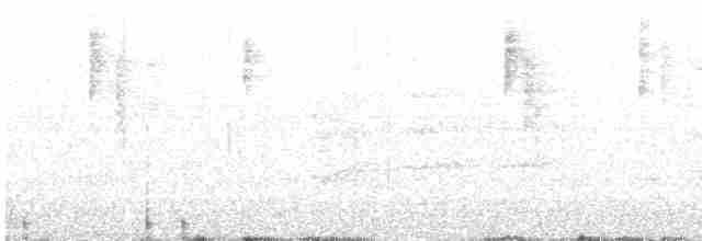 Spotted Scrubwren - ML613201635