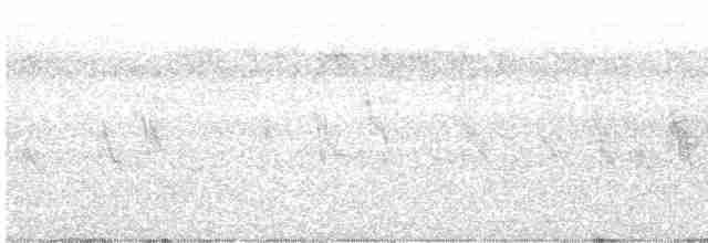 Saipan Reed Warbler - ML613202130