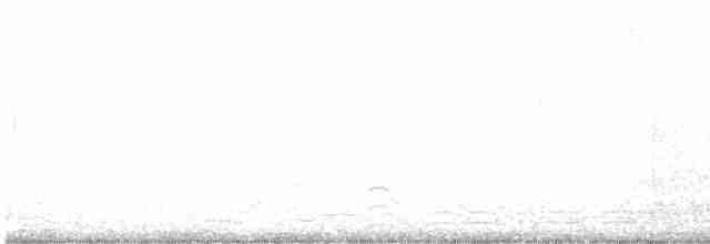 ברווז קרח - ML613204828