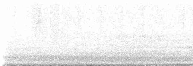 Sacred Kingfisher - ML613205295