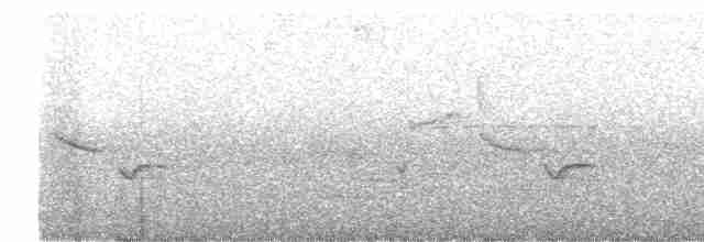 Troglodyte à poitrine grise - ML613205739