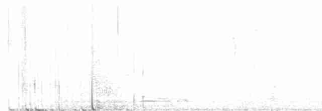 holoubek proužkokrký - ML613205741