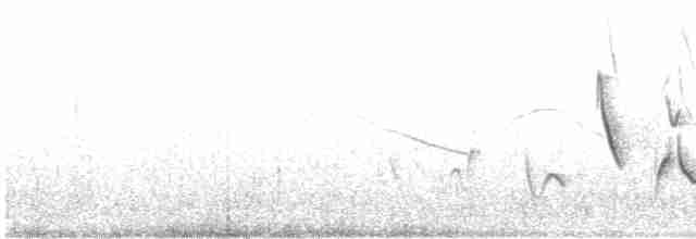 Зернолуск золотодзьобий - ML613205827