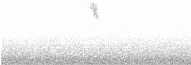 オニツグミ - ML613206199