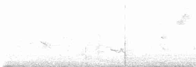 Зернолуск великий - ML613208189