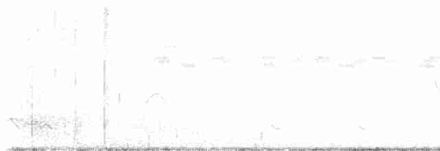 Grauwangen-Olivtyrann - ML613208787