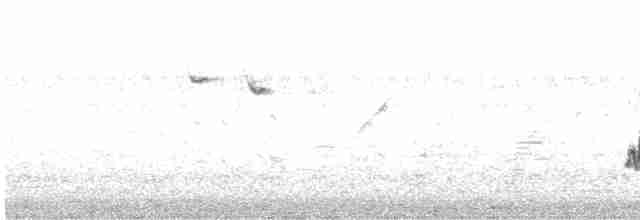 Ak Kaşlı Kuyruksallayan - ML613209283