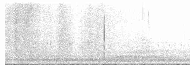 Field Sparrow - ML613210114