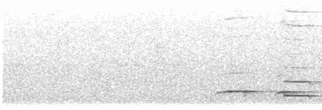 Мурашниця темноголова - ML613210207