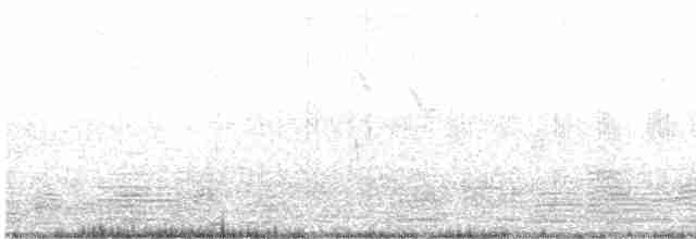 Bar-headed Goose - ML613210293