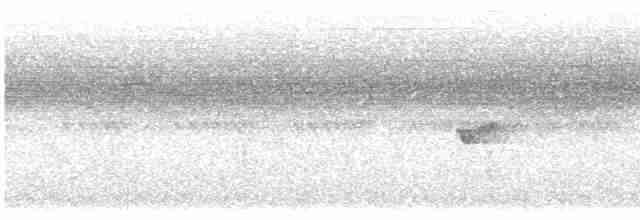 Расписная пипра - ML613210405